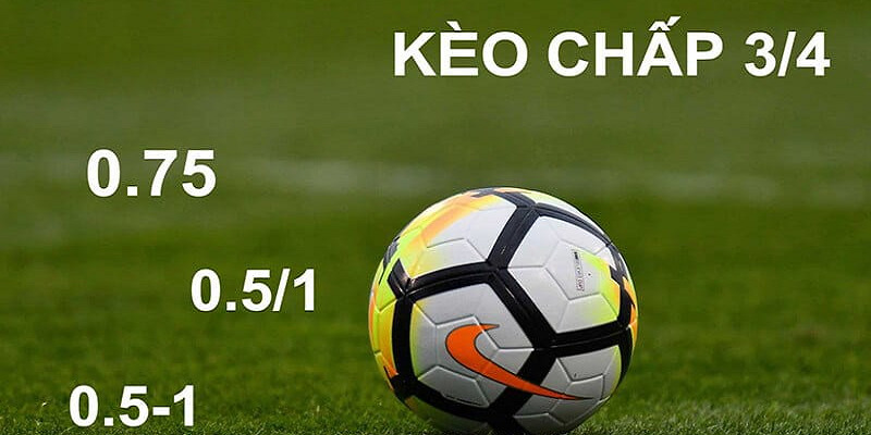 Đọc kèo chấp 1/4: